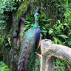 Meet your Posher, Glenn